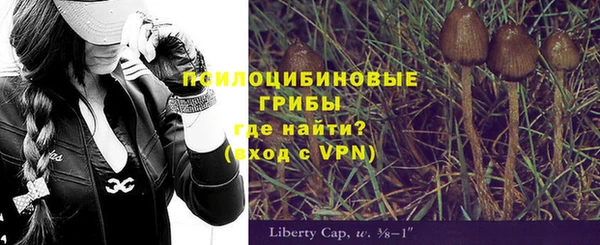 метамфетамин Алексеевка