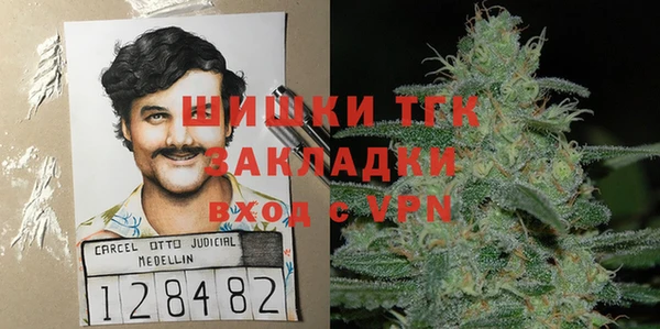 дмт Алзамай