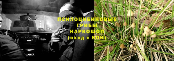 дмт Алзамай