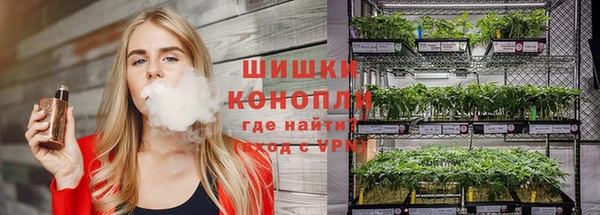 дмт Алзамай