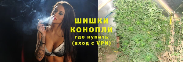 дмт Алзамай