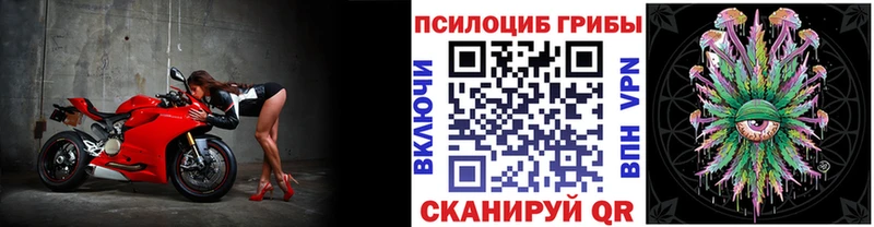 это как зайти  купить наркотик  Сорочинск  Псилоцибиновые грибы мицелий 